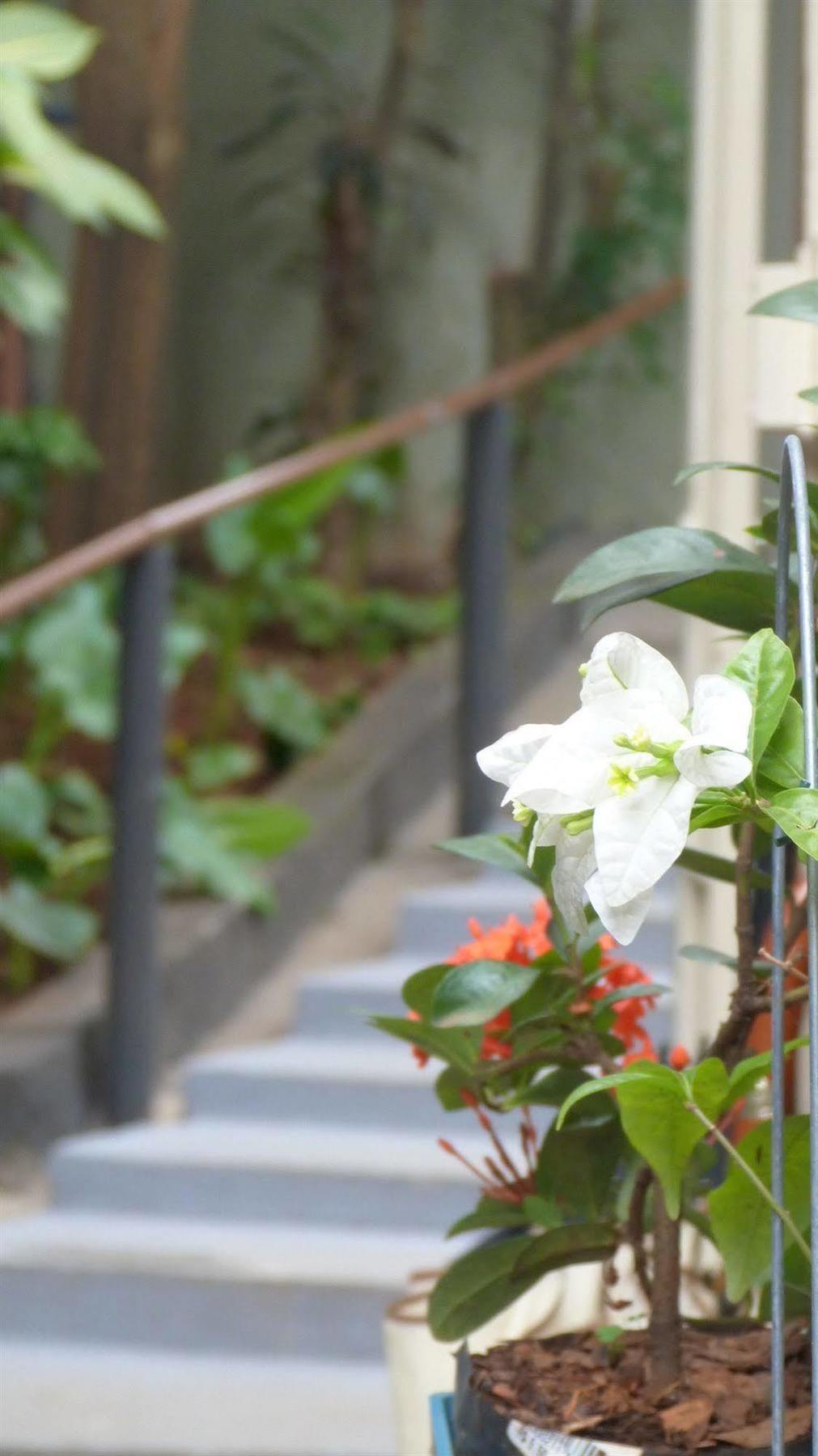 Olah Hostel - Vila Mariana São Paulo Eksteriør bilde